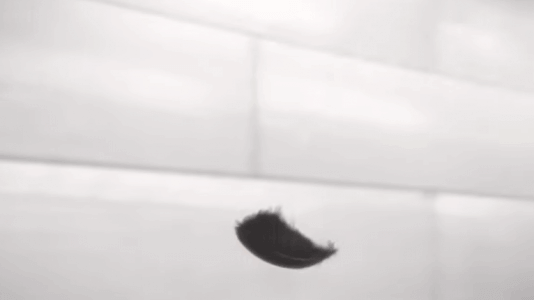 McLaren lance la « Sport Series »